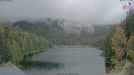 Archiv Foto Webcam Großer Arbersee - Bayerischer Wald 11:00