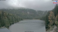 Archiv Foto Webcam Großer Arbersee - Bayerischer Wald 13:00