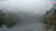 Archiv Foto Webcam Großer Arbersee - Bayerischer Wald 08:00
