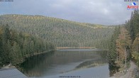 Archiv Foto Webcam Großer Arbersee - Bayerischer Wald 07:00