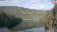 Archiv Foto Webcam Großer Arbersee - Bayerischer Wald 08:00