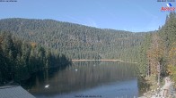 Archiv Foto Webcam Großer Arbersee - Bayerischer Wald 09:00