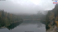 Archiv Foto Webcam Großer Arbersee - Bayerischer Wald 07:00
