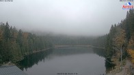Archiv Foto Webcam Großer Arbersee - Bayerischer Wald 09:00