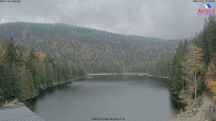 Archiv Foto Webcam Großer Arbersee - Bayerischer Wald 11:00