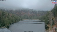 Archiv Foto Webcam Großer Arbersee - Bayerischer Wald 07:00