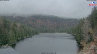 Archiv Foto Webcam Großer Arbersee - Bayerischer Wald 09:00