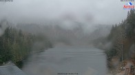 Archiv Foto Webcam Großer Arbersee - Bayerischer Wald 11:00