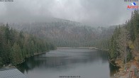 Archiv Foto Webcam Großer Arbersee - Bayerischer Wald 13:00