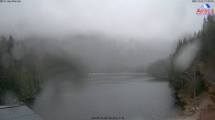 Archiv Foto Webcam Großer Arbersee - Bayerischer Wald 17:00