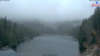 Archived image Webcam Lake "Großer Arbersee" (Bavarian Forest) 06:00