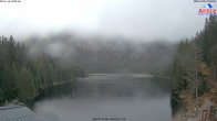 Archived image Webcam Lake "Großer Arbersee" (Bavarian Forest) 09:00
