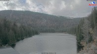 Archived image Webcam Lake "Großer Arbersee" (Bavarian Forest) 11:00