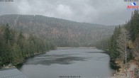 Archived image Webcam Lake "Großer Arbersee" (Bavarian Forest) 13:00