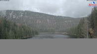 Archiv Foto Webcam Großer Arbersee - Bayerischer Wald 06:00