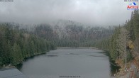 Archiv Foto Webcam Großer Arbersee - Bayerischer Wald 09:00