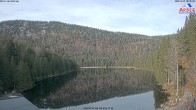 Archiv Foto Webcam Großer Arbersee - Bayerischer Wald 07:00