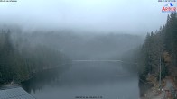 Archived image Webcam Lake "Großer Arbersee" (Bavarian Forest) 06:00