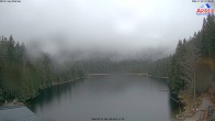 Archived image Webcam Lake "Großer Arbersee" (Bavarian Forest) 11:00