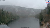 Archived image Webcam Lake "Großer Arbersee" (Bavarian Forest) 13:00