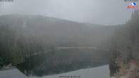 Archiv Foto Webcam Großer Arbersee - Bayerischer Wald 13:00