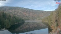 Archiv Foto Webcam Großer Arbersee - Bayerischer Wald 07:00