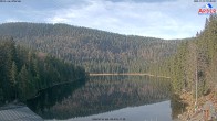 Archiv Foto Webcam Großer Arbersee - Bayerischer Wald 09:00