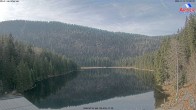 Archiv Foto Webcam Großer Arbersee - Bayerischer Wald 11:00