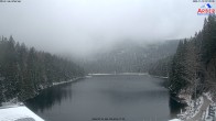 Archiv Foto Webcam Großer Arbersee - Bayerischer Wald 06:00