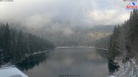 Archiv Foto Webcam Großer Arbersee - Bayerischer Wald 07:00