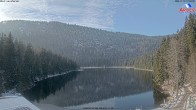 Archiv Foto Webcam Großer Arbersee - Bayerischer Wald 11:00
