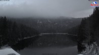 Archiv Foto Webcam Großer Arbersee - Bayerischer Wald 15:00