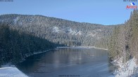 Archiv Foto Webcam Großer Arbersee - Bayerischer Wald 08:00