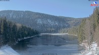 Archiv Foto Webcam Großer Arbersee - Bayerischer Wald 11:00