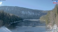 Archiv Foto Webcam Großer Arbersee - Bayerischer Wald 12:00