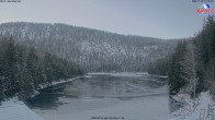 Archiv Foto Webcam Großer Arbersee - Bayerischer Wald 14:00