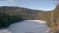 Archiv Foto Webcam Großer Arbersee - Bayerischer Wald 09:00