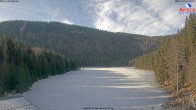 Archiv Foto Webcam Großer Arbersee - Bayerischer Wald 11:00