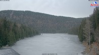 Archiv Foto Webcam Großer Arbersee - Bayerischer Wald 09:00