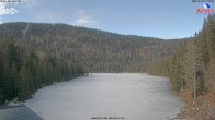 Archiv Foto Webcam Großer Arbersee - Bayerischer Wald 10:00