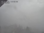 Archived image Webcam Mürren 11:00