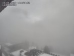 Archiv Foto Webcam Mürren 11:00