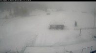 Archiv Foto Webcam Zuoz / Graubünden 13:00