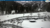 Archiv Foto Webcam Gernalm nahe Pertisau 09:00