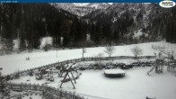 Archived image Webcam Gernalm / Pertisau 13:00