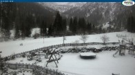 Archiv Foto Webcam Gernalm nahe Pertisau 15:00