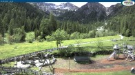 Archiv Foto Webcam Gernalm nahe Pertisau 11:00