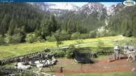 Archiv Foto Webcam Gernalm nahe Pertisau 09:00