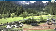 Archiv Foto Webcam Gernalm nahe Pertisau 11:00