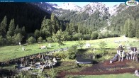 Archiv Foto Webcam Gernalm nahe Pertisau 07:00